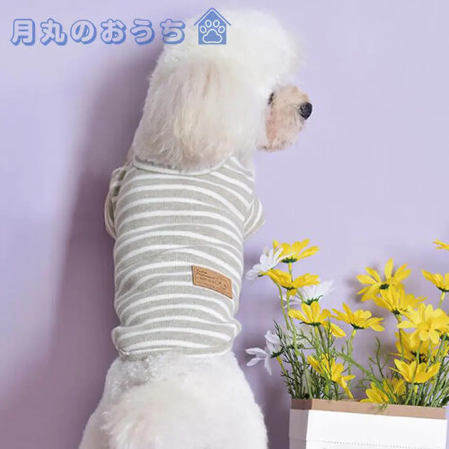 61c2cfa57d278d58398518d6