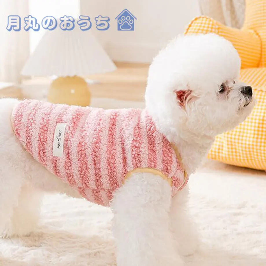 61c2cdd8d26fa519cd403f3e