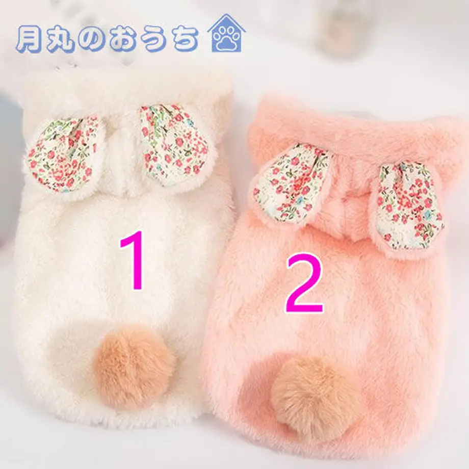 6385c54b1c61f615580288d5