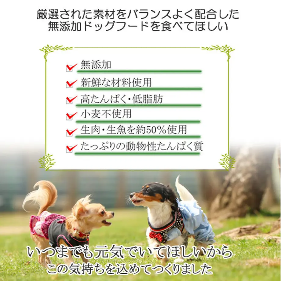 5d92a951220e755e8cc9c032