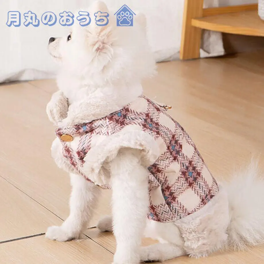 61c41f25ecd05705a1d71f7c