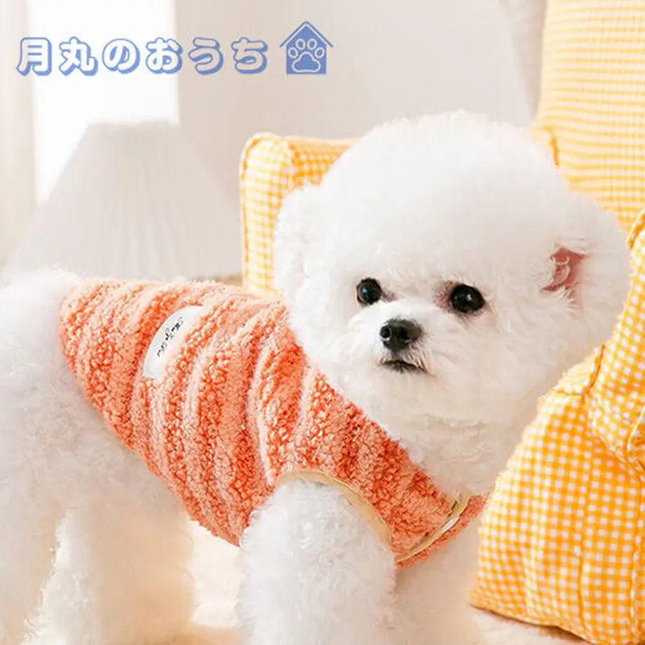 61c2cdd8d26fa519cd403f3e