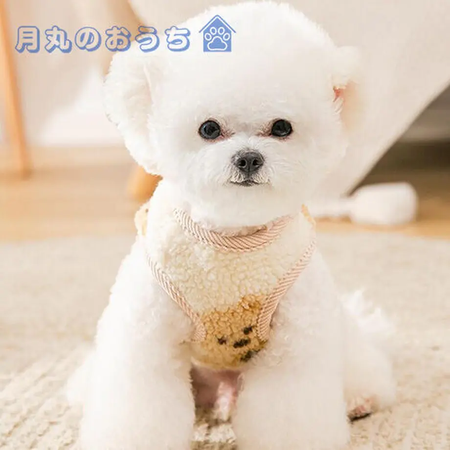 61c41b423475ed33679ba132