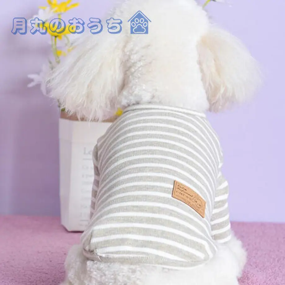 61c2cfa57d278d58398518d6