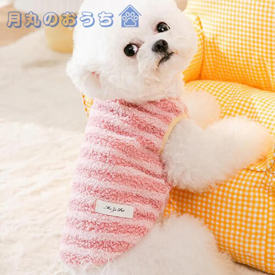 61c2cdd8d26fa519cd403f3e