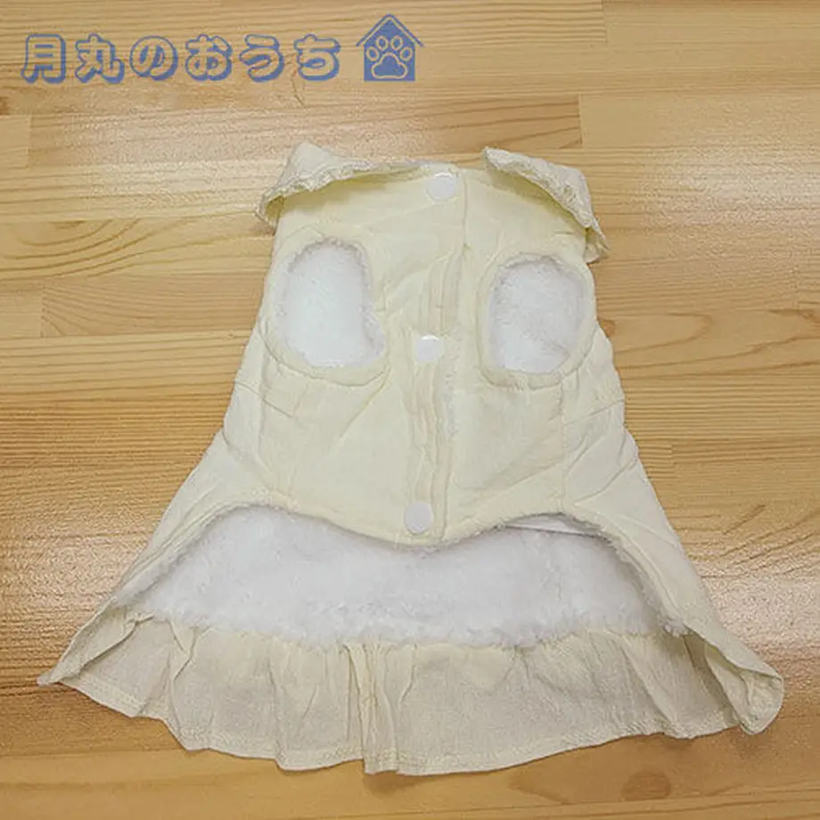 61caaa17d26fa5362f0fb208