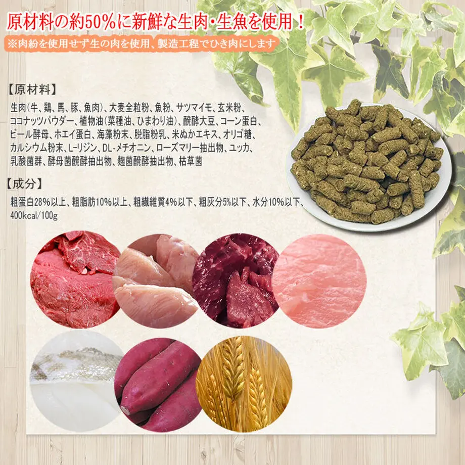 5d92a951220e755e8cc9c032