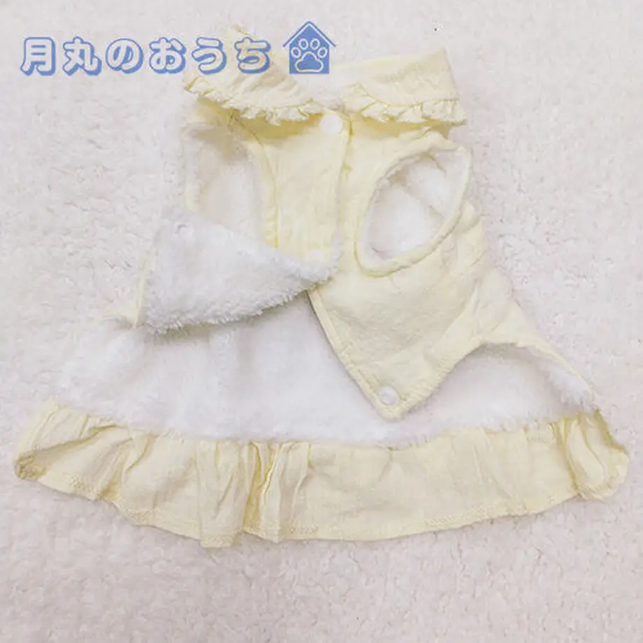 61caaa17d26fa5362f0fb208