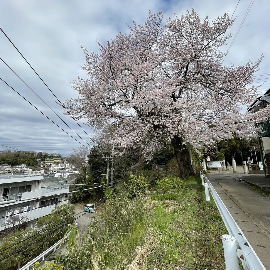 628b25f6404e917aae1d2298