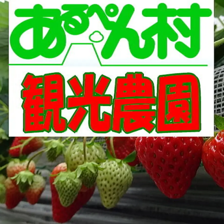 61ef791dc15c5a066fab8133
