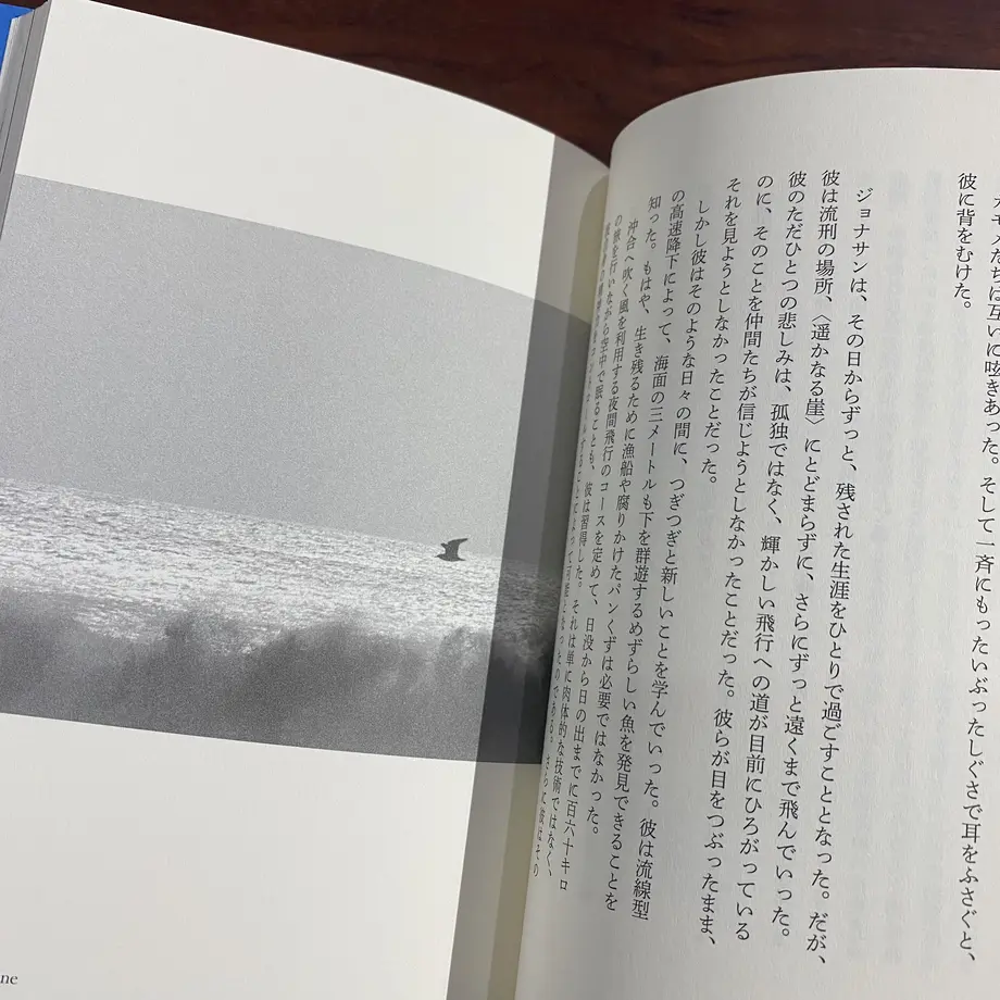 627ceb902772b92408650357