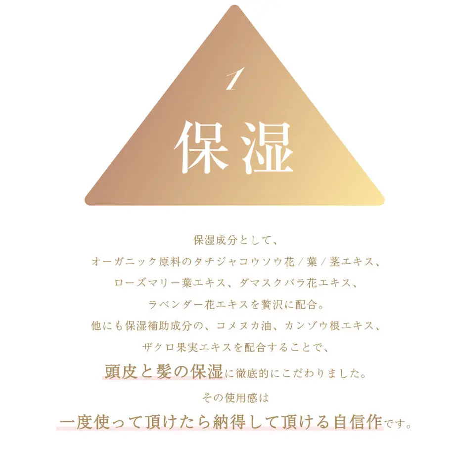 58511bc5a458c0c4d50076ed