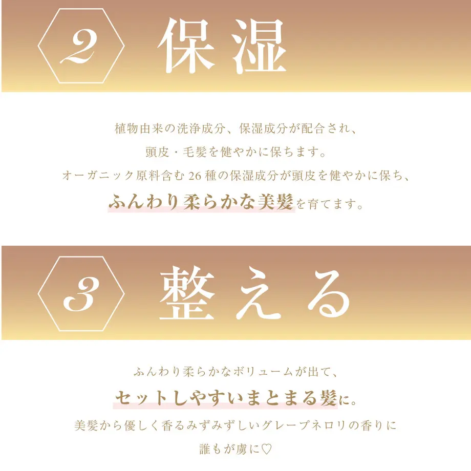 58511bc5a458c0c4d50076ed