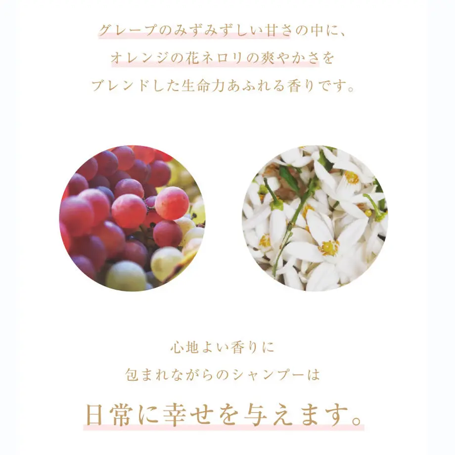 58511bc5a458c0c4d50076ed