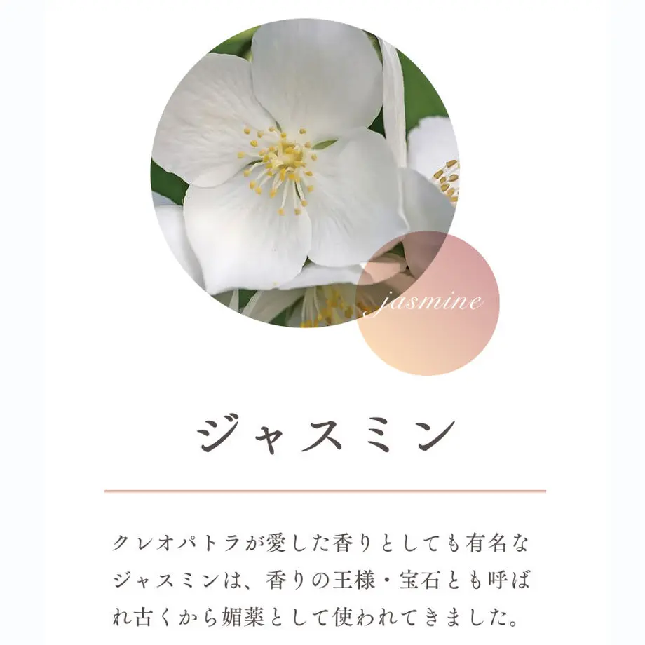 57d0efb541f8e891d9000cb5