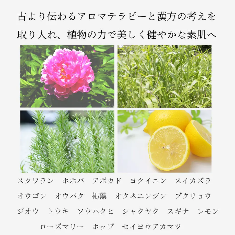 5d57507b3a7e964cf1960e62