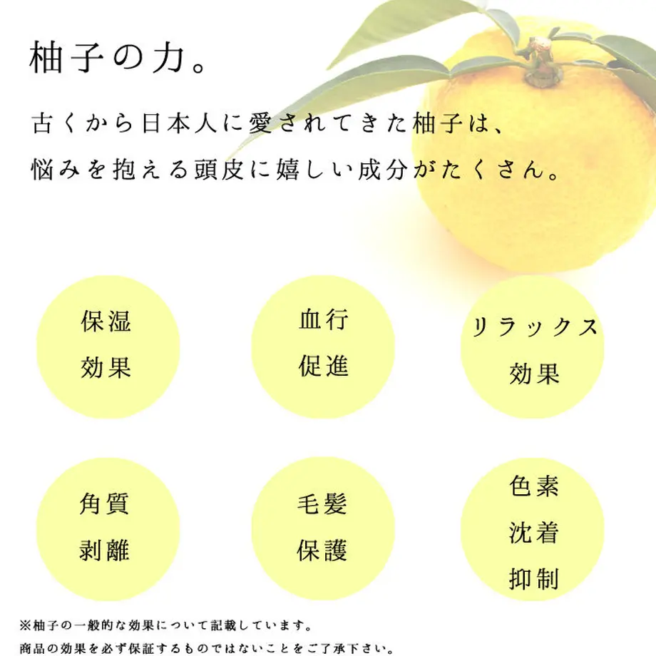 5ddce2084fb6c7071c900f6f