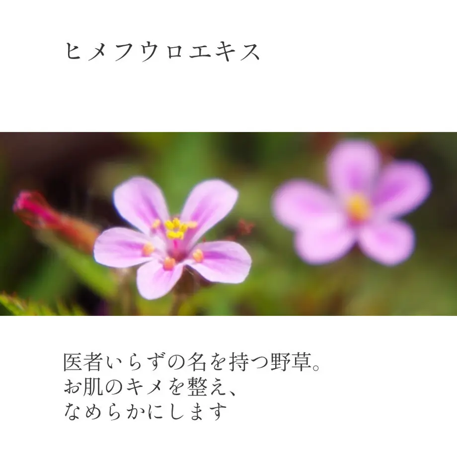 5d5fa0c28e69192a15628eae