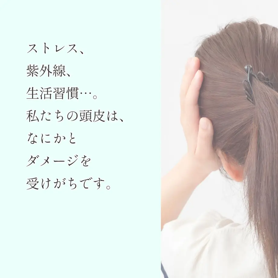 5eb4d18855fa03542f3717a5