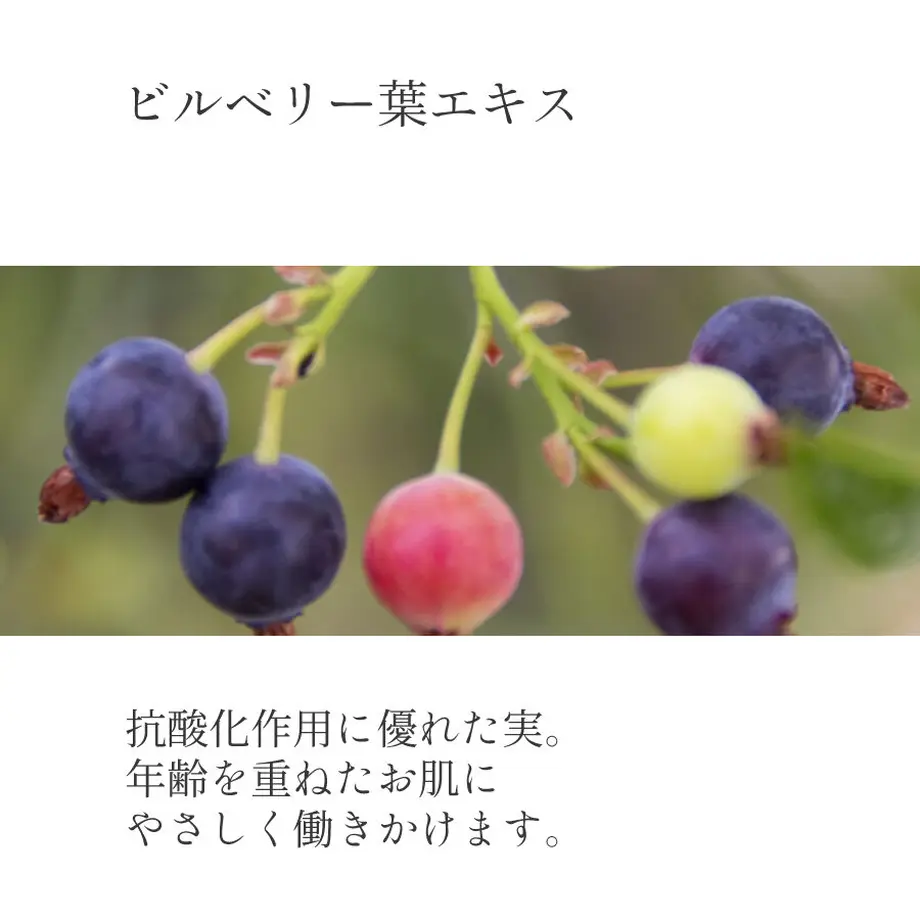 5d5fa0c28e69192a15628eae