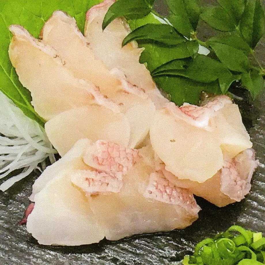 5ff8775af0b10851a10fb1d6