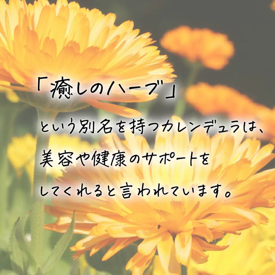 61fb78f8113ce070368aa758