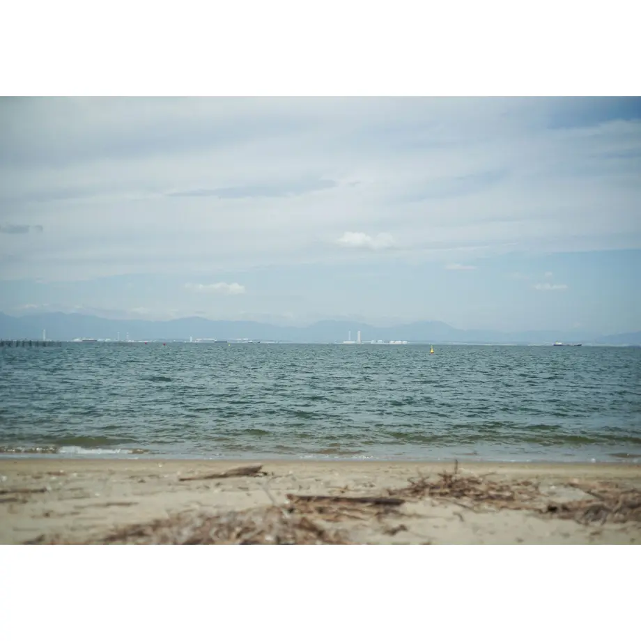62e36a915ff423282725cb20