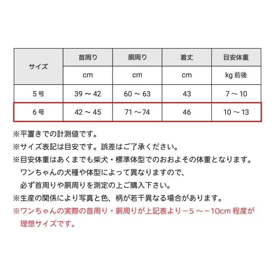 6212f6e581dbb55f8e15267f