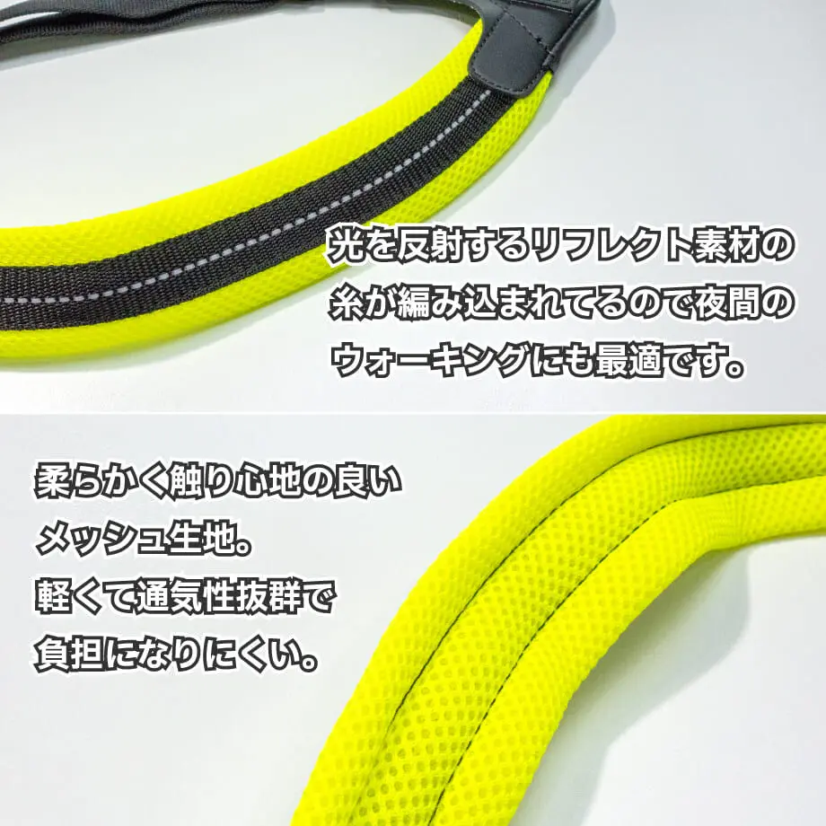 6311b64bc36dbe2a134ddf0b