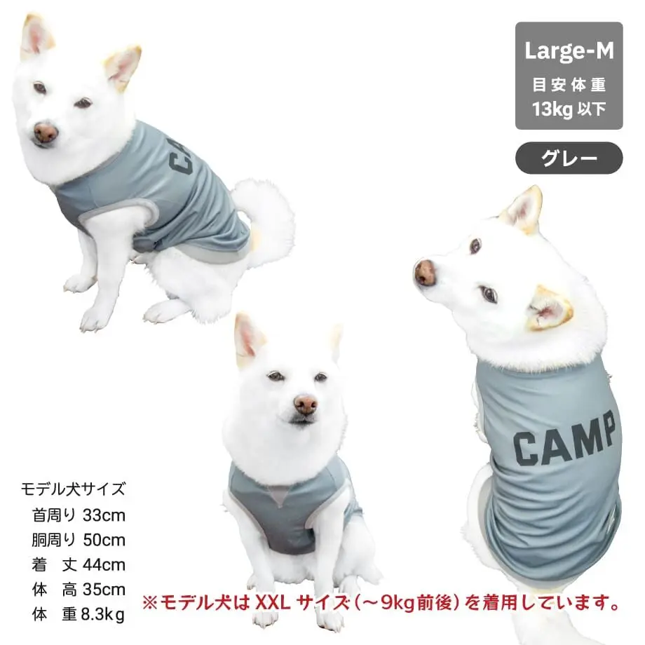 621f127334e01778b6cbc99d