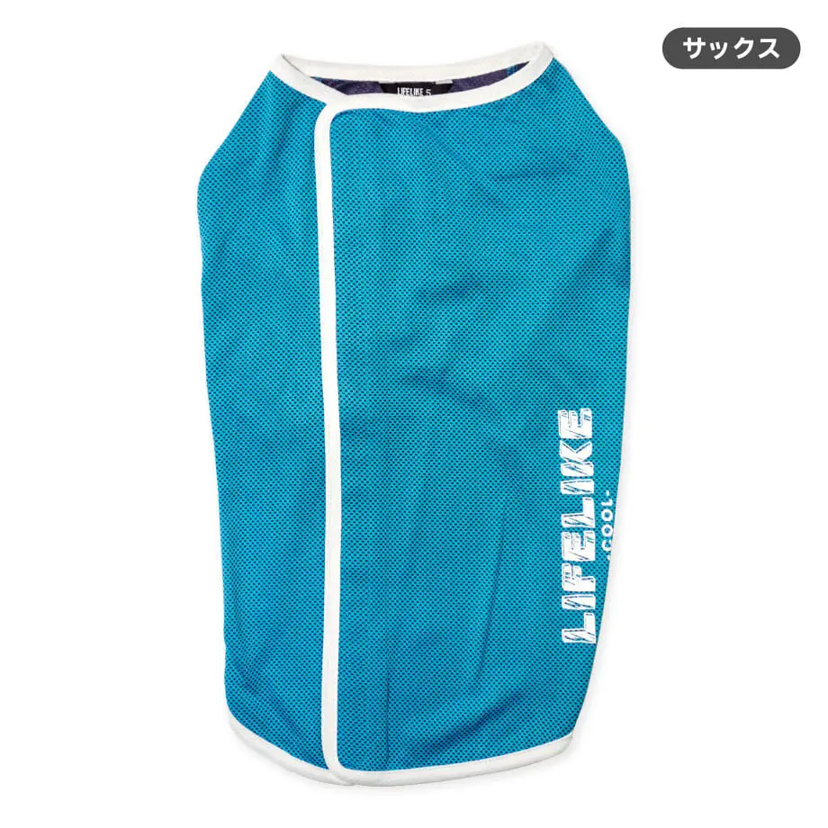 6232e4f29a706205ae1ebaf3
