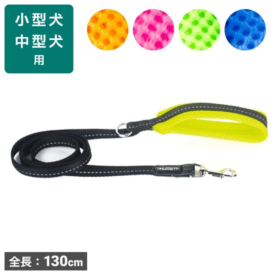 63156629c36dbe6b522db5db