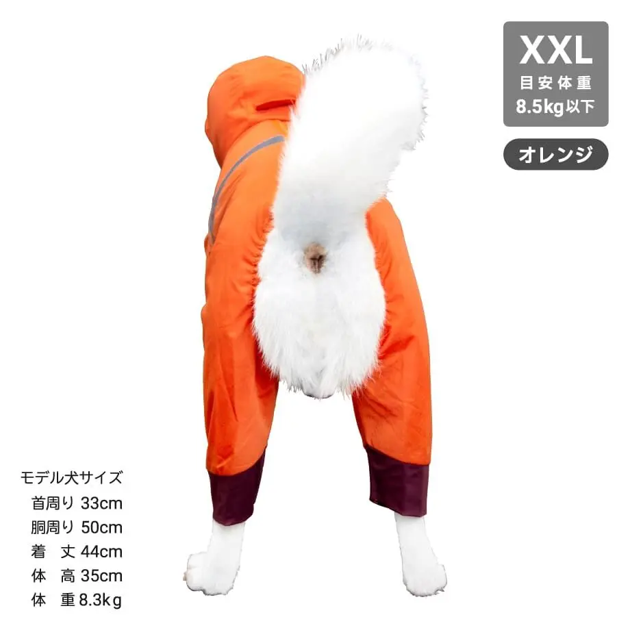 62906f5c288b801dc39ea1b8