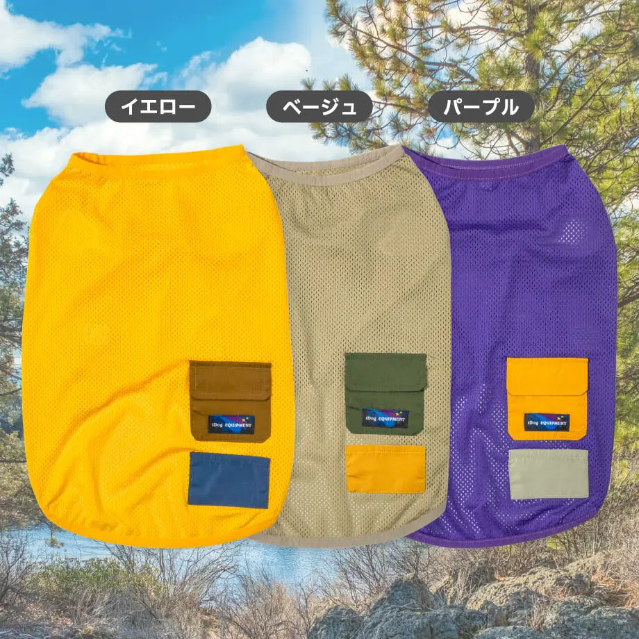 61fcd8ac113ce067506b03b2