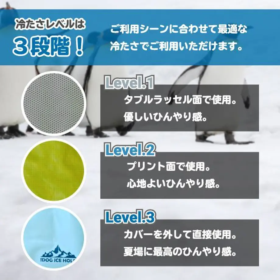 60deba400850a041a1e03f2e