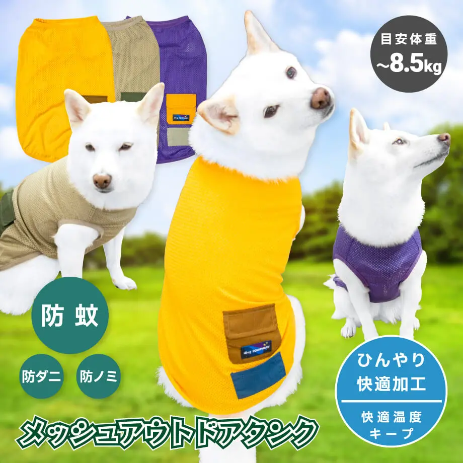 61fcd8ac113ce067506b03b2