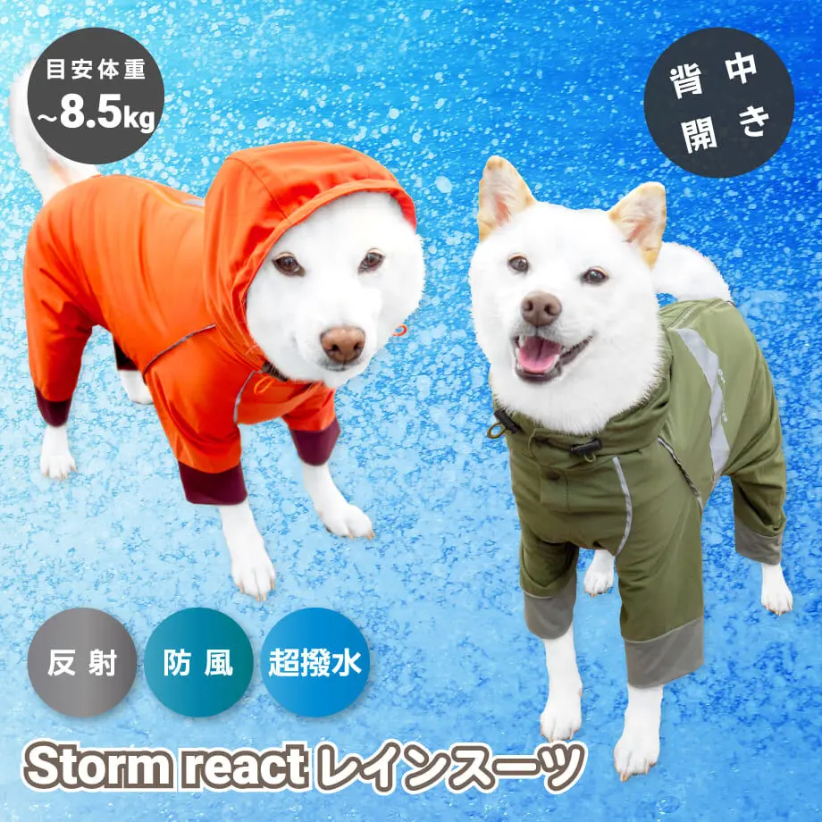 62906f5c288b801dc39ea1b8