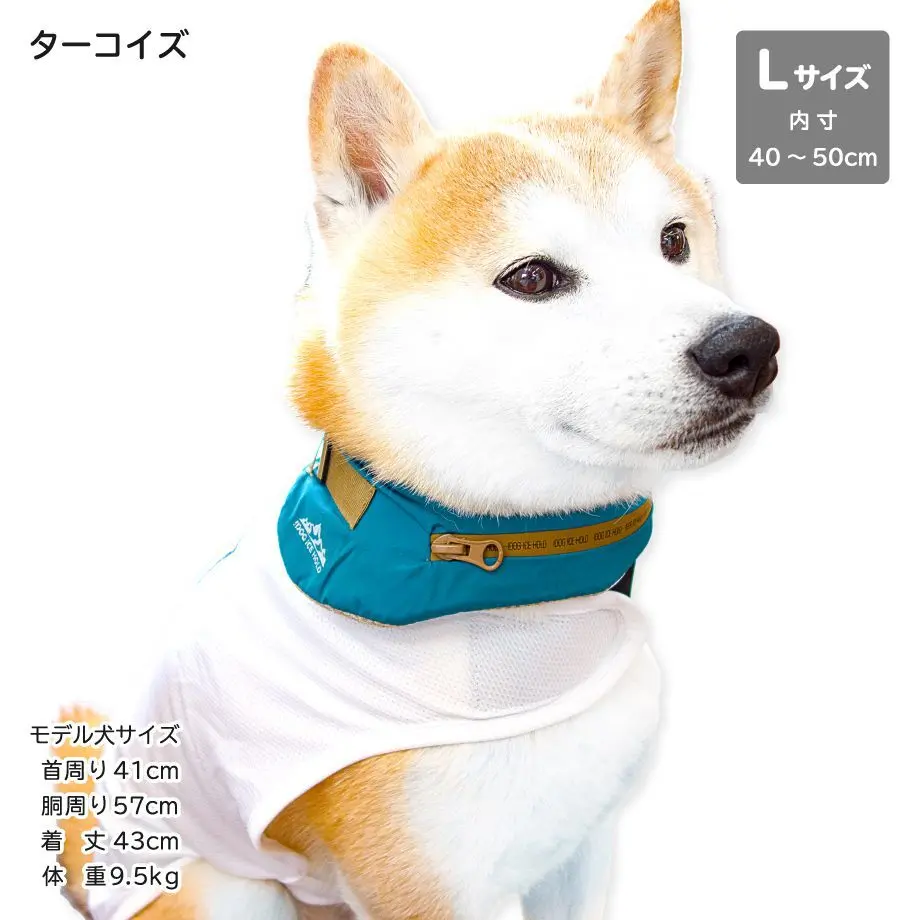 60dd1f34f56851151c21c53e