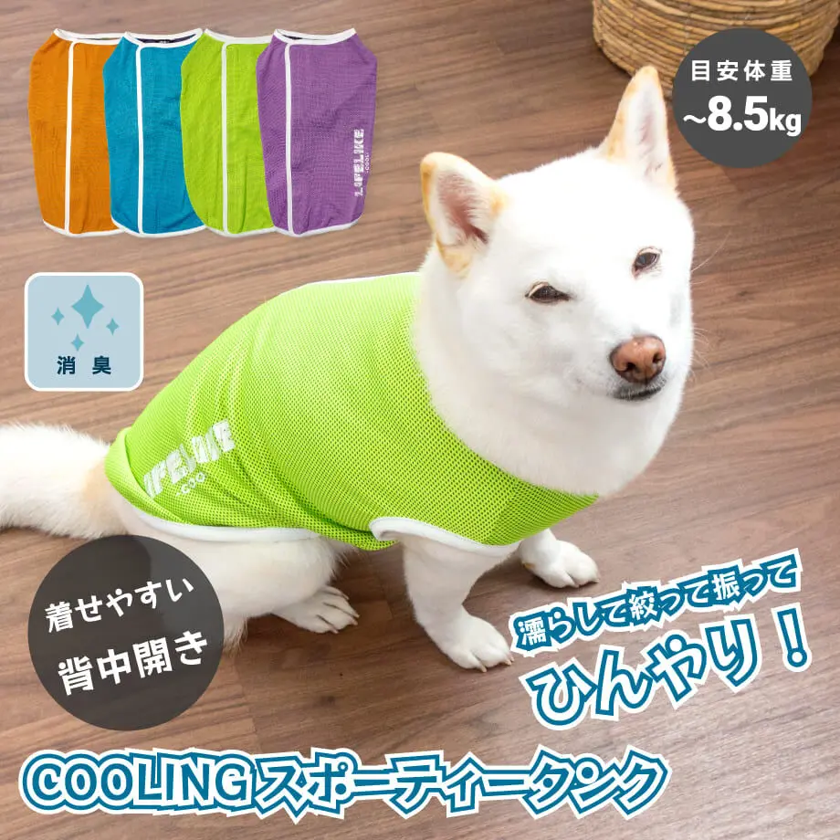 6232e4f29a706205ae1ebaf3