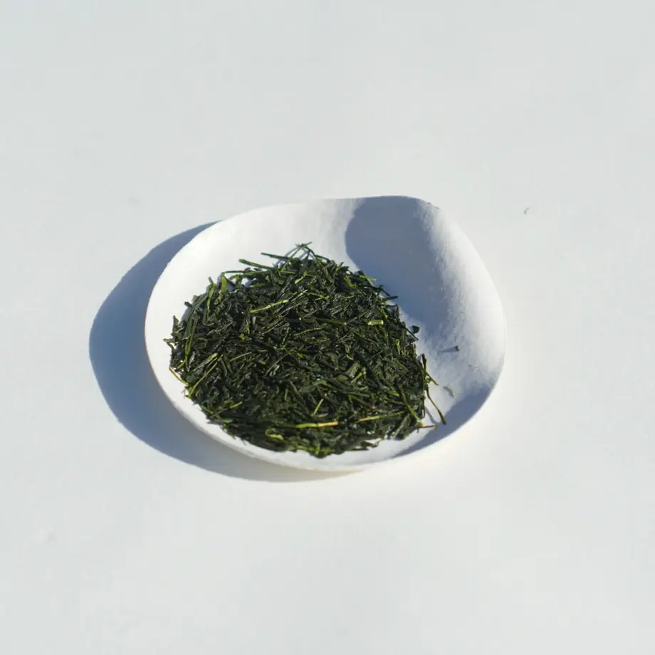 5e95581cbd2178452849d138