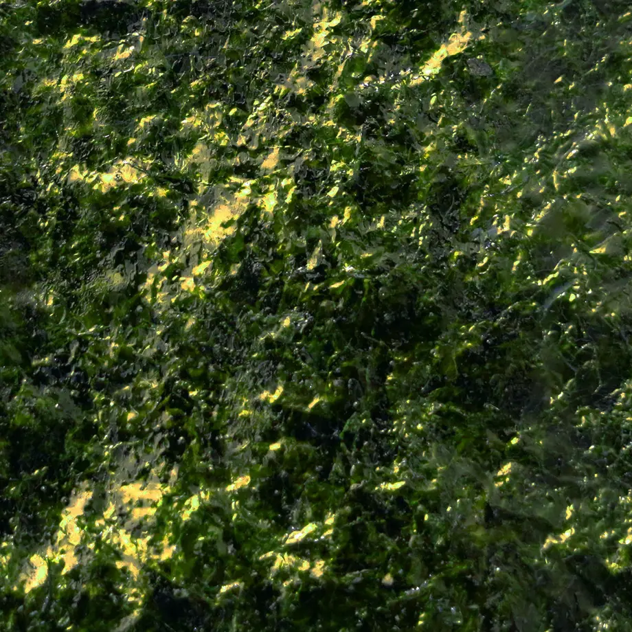 56304ba32b34924ef7000763