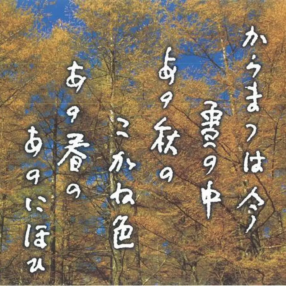6174b7f31bfe191379f7c702