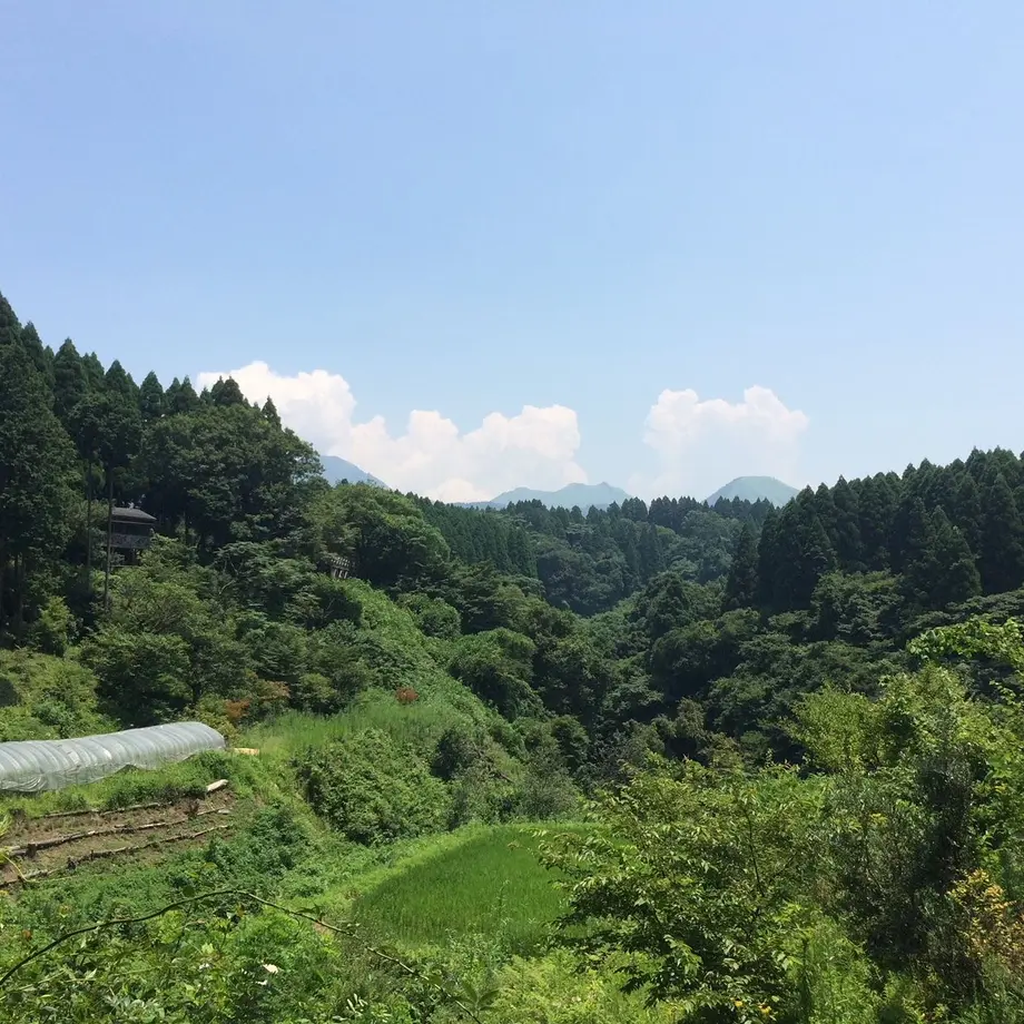 5c500c37e73a25026cce8fe6