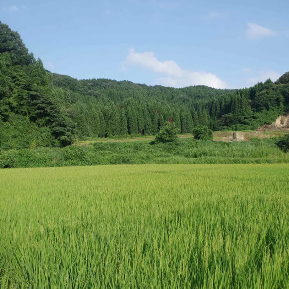 5a1cf689428f2d2ed40008d7