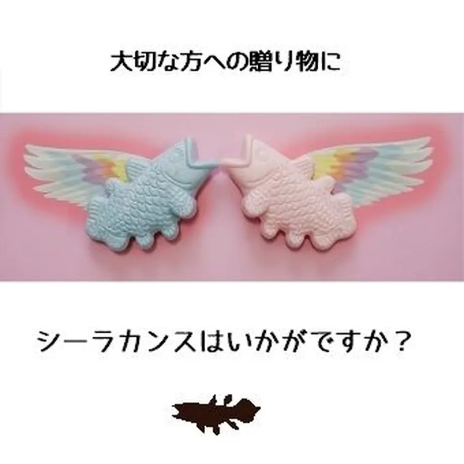 6136f22d8c1a5b59efc861c5