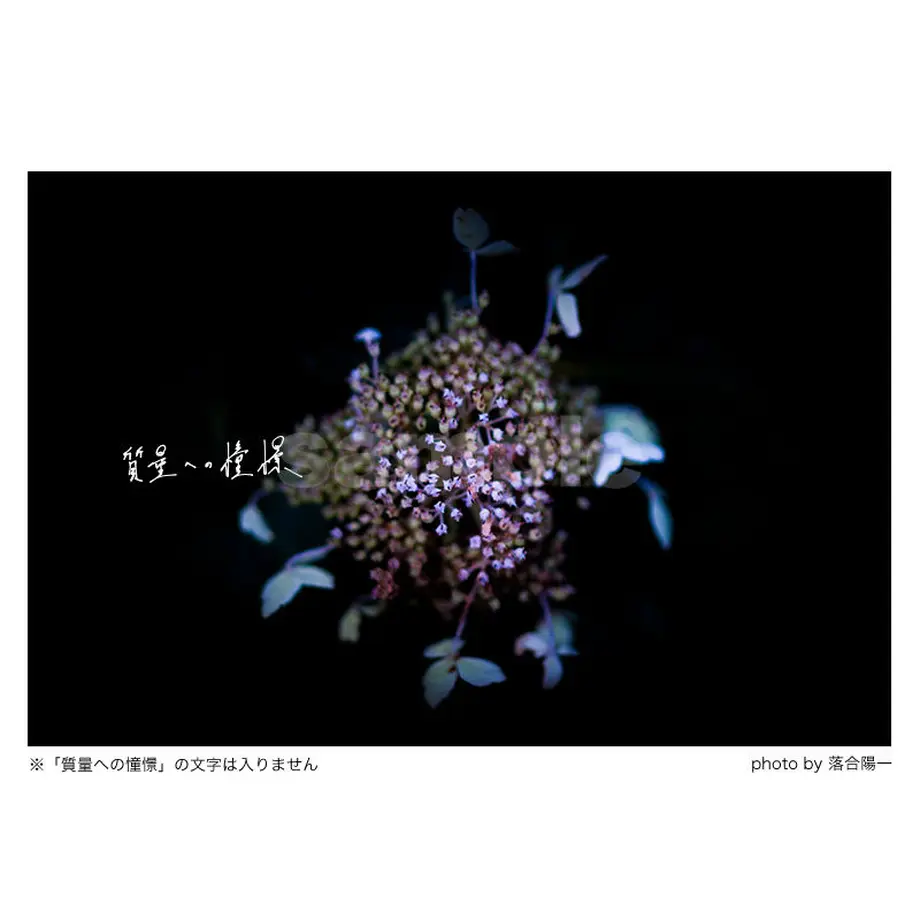 5d7780c18606483b4dff741e