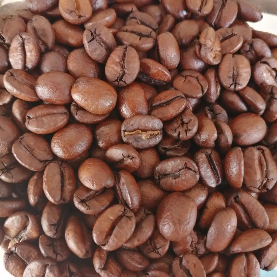 5e9544f255fa0355858dd2e9