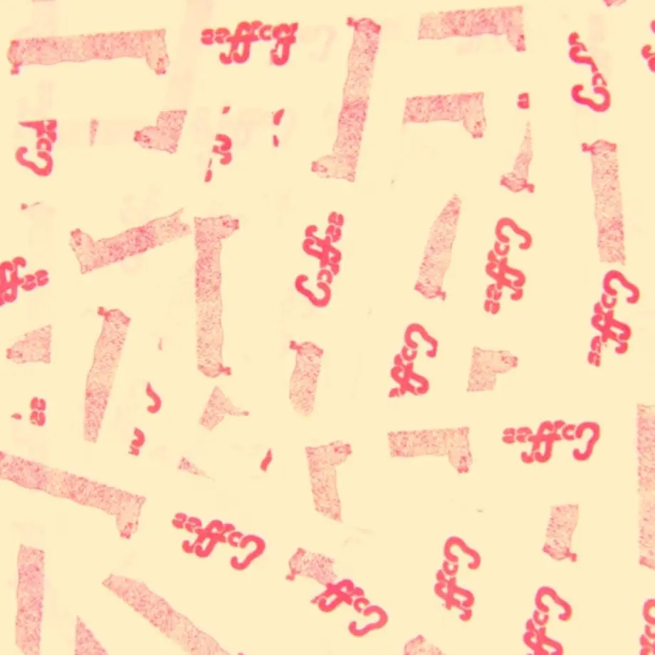 5d7706058606481b44c4ac8b