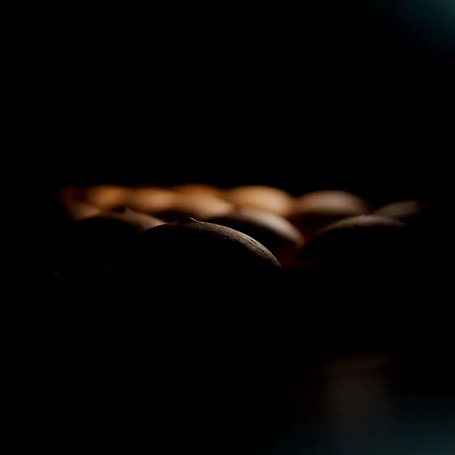 6270e5a9d175137d8ac8e250