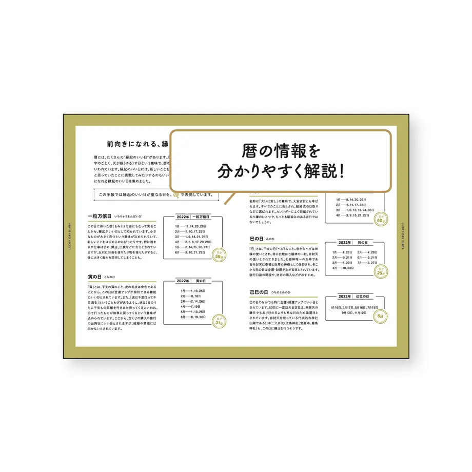 619dfc11e09f73139ac0f9ef